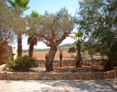 Villa mit 4 Schlafzimmern in Illes Balears
