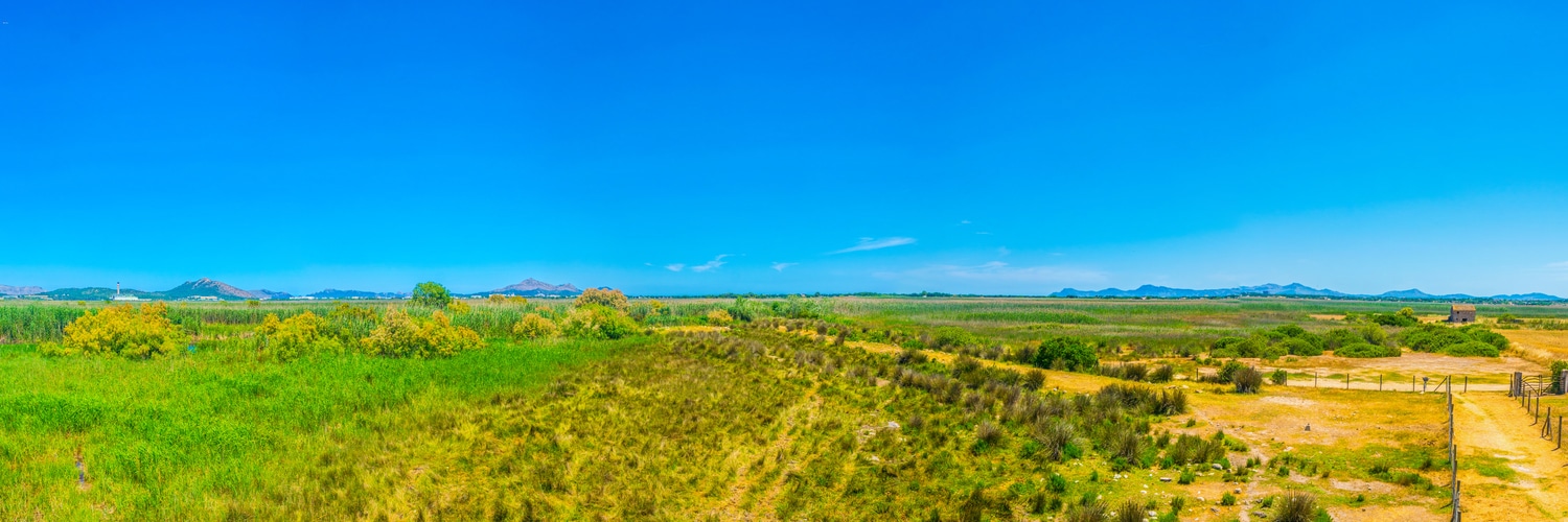 Albufera national park at Mallorca