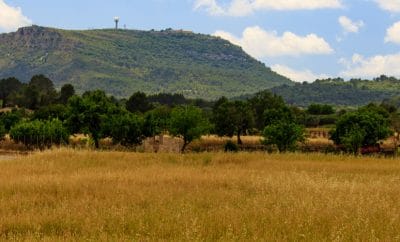 Puig de Randa