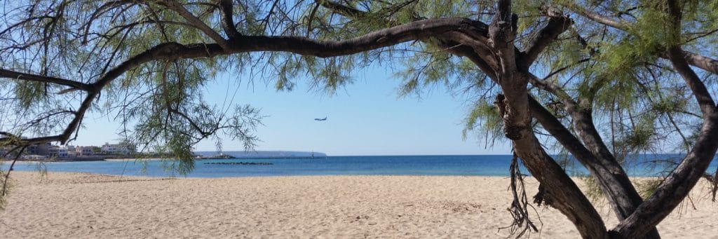 Strand nahe Lloret de Vistalegre